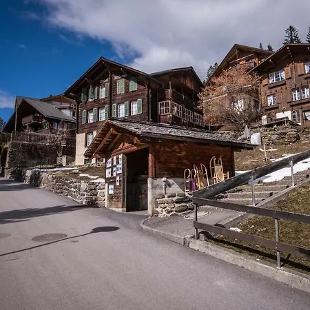 Alpenrebe