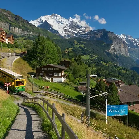 Alpenrebe *