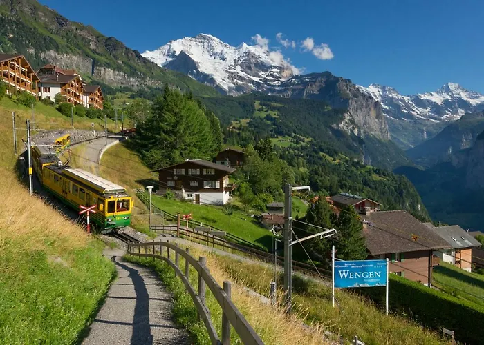 Alpenrebe *